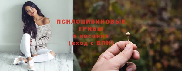 apvp Верея