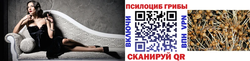 Псилоцибиновые грибы Psilocybe  Купить  Богородицк 