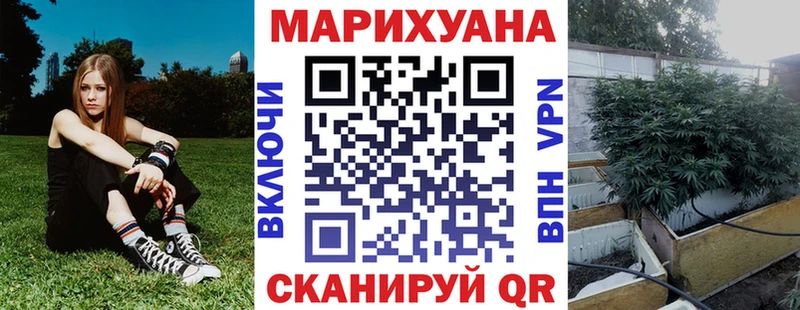 Бошки марихуана Ganja Купить где Богородицк